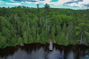 121 S Caps Trail, Lutsen, MN 55612 - Photo 54