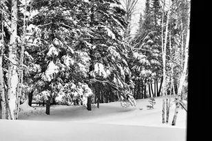 121 S Caps Trail, Lutsen, MN 55612 - Photo 50