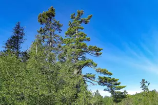 121 S Caps Trail, Lutsen, MN 55612 - Photo 42