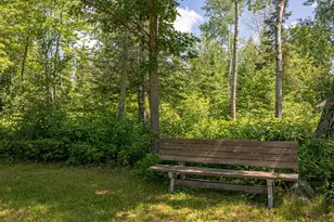 13321 Lodge Rd, Ely, MN 55731 - Photo 66