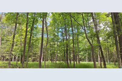 Xxx South Shore Rd, La Pointe, WI 54850 - Photo 1