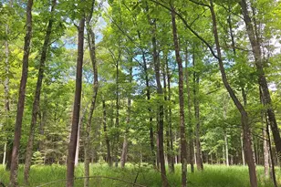 Xxx South Shore Rd, La Pointe, WI 54850 - Photo 1