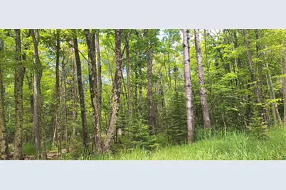 Xxx South Shore Rd, La Pointe, WI 54850 - Photo 4