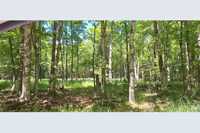Xxx South Shore Rd, La Pointe, WI 54850 - Photo 1