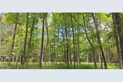 Xxx South Shore Rd, La Pointe, WI 54850 - Photo 12