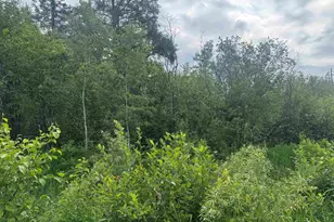 Tbd Quaal Rd, Forbes, MN 55738 - Photo 1