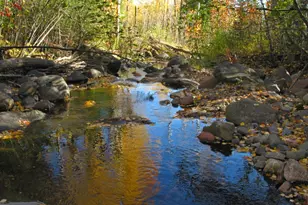 14 Co Rd 48, Grand Marais, MN 55604 - Photo 2