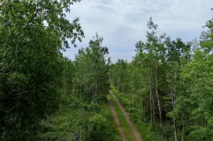 2457 Hwy 61 E, Grand Marais, MN 55604 - Photo 8
