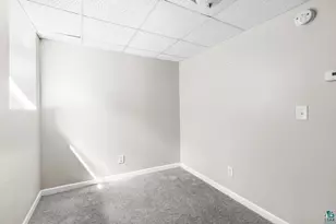309 Maryland St, Duluth, MN 55803 - Photo 32