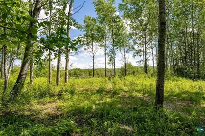 50Xx Benson Rd, Hermantown, MN 55811 - Photo 2
