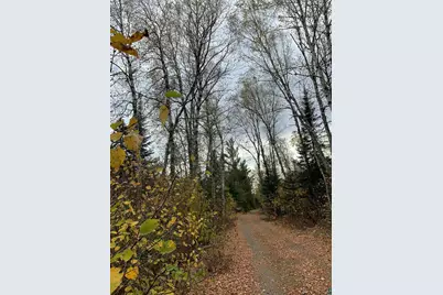 Xxb Rocky Top Trail, Hovland, MN 55606 - Photo 10