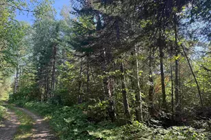 Xxb Rocky Top Trail, Hovland, MN 55606 - Photo 1