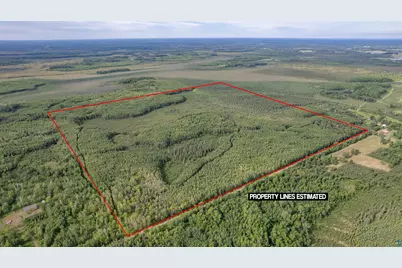 Xxx Digs Dr, Wright, MN 55798 - Photo 1
