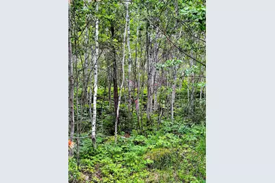 Tbd Onagon Lake Rd, Grand Marais, MN 55604 - Photo 10