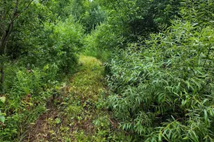 760 Caspers Hill Rd, Grand Marais, MN 55604 - Photo 28