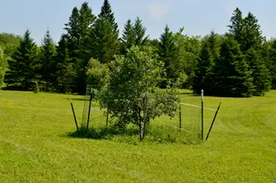 6438 Hwy 29, Floodwood, MN 55736 - Photo 36