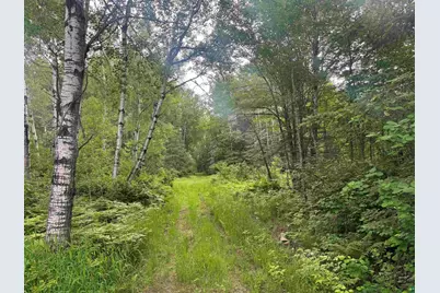 3Xxx Quaal Rd, Forbes, MN 55738 - Photo 8