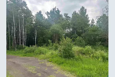 3Xxx Quaal Rd, Forbes, MN 55738 - Photo 4