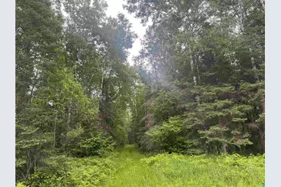 3Xxx Quaal Rd, Forbes, MN 55738 - Photo 12