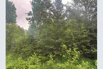 3Xxx Quaal Rd, Forbes, MN 55738 - Photo 2