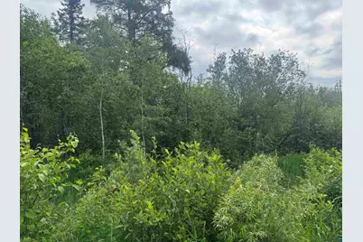 3Xxx Quaal Rd, Forbes, MN 55738 - Photo 1