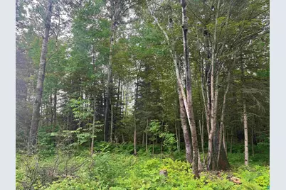 3Xxx Quaal Rd, Forbes, MN 55738 - Photo 14