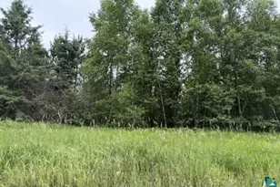 Xx Homestead Rd, Cromwell, MN 55726 - Photo 1