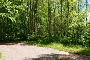 6394 Hwy 29, Floodwood, MN 55736 - Photo 16