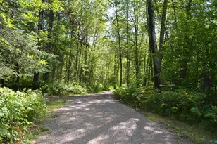 6394 Hwy 29, Floodwood, MN 55736 - Photo 44