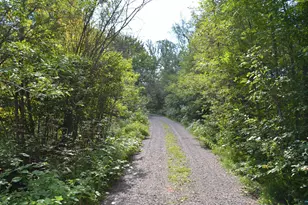 6394 Hwy 29, Floodwood, MN 55736 - Photo 46