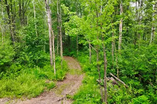 3139 W Tischer Rd, Duluth, MN 55803 - Photo 48