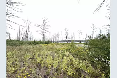 2377 N McDougal Lake Rd, Isabella, MN 55607 - Photo 8