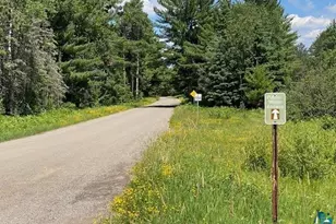 2448 E Cabin Circle Rd, Makinen, MN 55763 - Photo 20