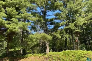 2448 E Cabin Circle Rd, Makinen, MN 55763 - Photo 18