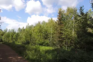 X1 Cougar Trail, Grand Marais, MN 55604 - Photo 1