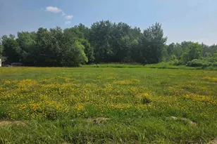 Xx Washington Ave, Port Wing, WI 54865 - Photo 1