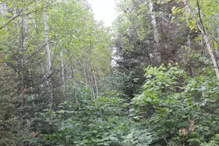 X3 Cougar Trail, Grand Marais, MN 55604 - Photo 1