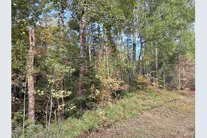 Tbd Old Vermilion Tr, Duluth, MN 55803 - Photo 12