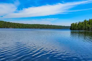 10028 Gunflint Trail, Grand Marais, MN 55604 - Photo 8