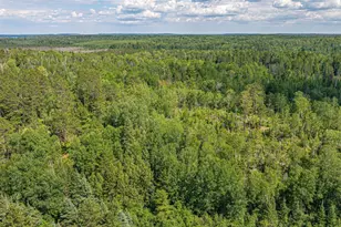2538 Martilla Rd, Ely, MN 55731 - Photo 88