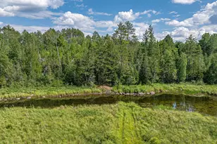 2538 Martilla Rd, Ely, MN 55731 - Photo 68