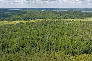 2538 Martilla Rd, Ely, MN 55731 - Photo 80