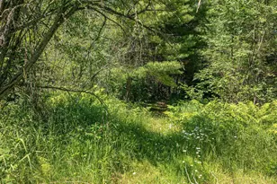 2538 Martilla Rd, Ely, MN 55731 - Photo 60