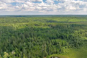 2538 Martilla Rd, Ely, MN 55731 - Photo 92