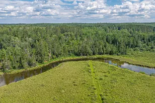 2538 Martilla Rd, Ely, MN 55731 - Photo 66