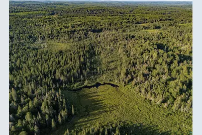 Tbd Hoist Lake Rd, Finland, MN 55603 - Photo 8