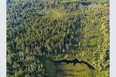 Tbd Hoist Lake Rd, Finland, MN 55603 - Photo 6