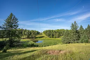 2182 Co Rd 4, Carlton, MN 55718 - Photo 10