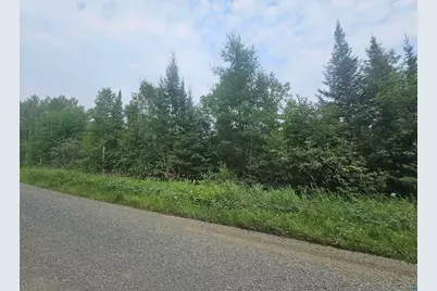 99999 Comet Rd, Embarrass, MN 55732 - Photo 4