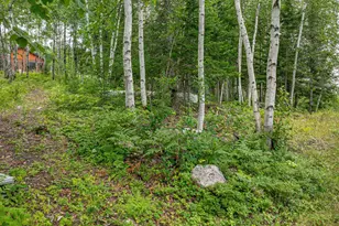 1359 SW Shores Trail, Ely, MN 55731 - Photo 52